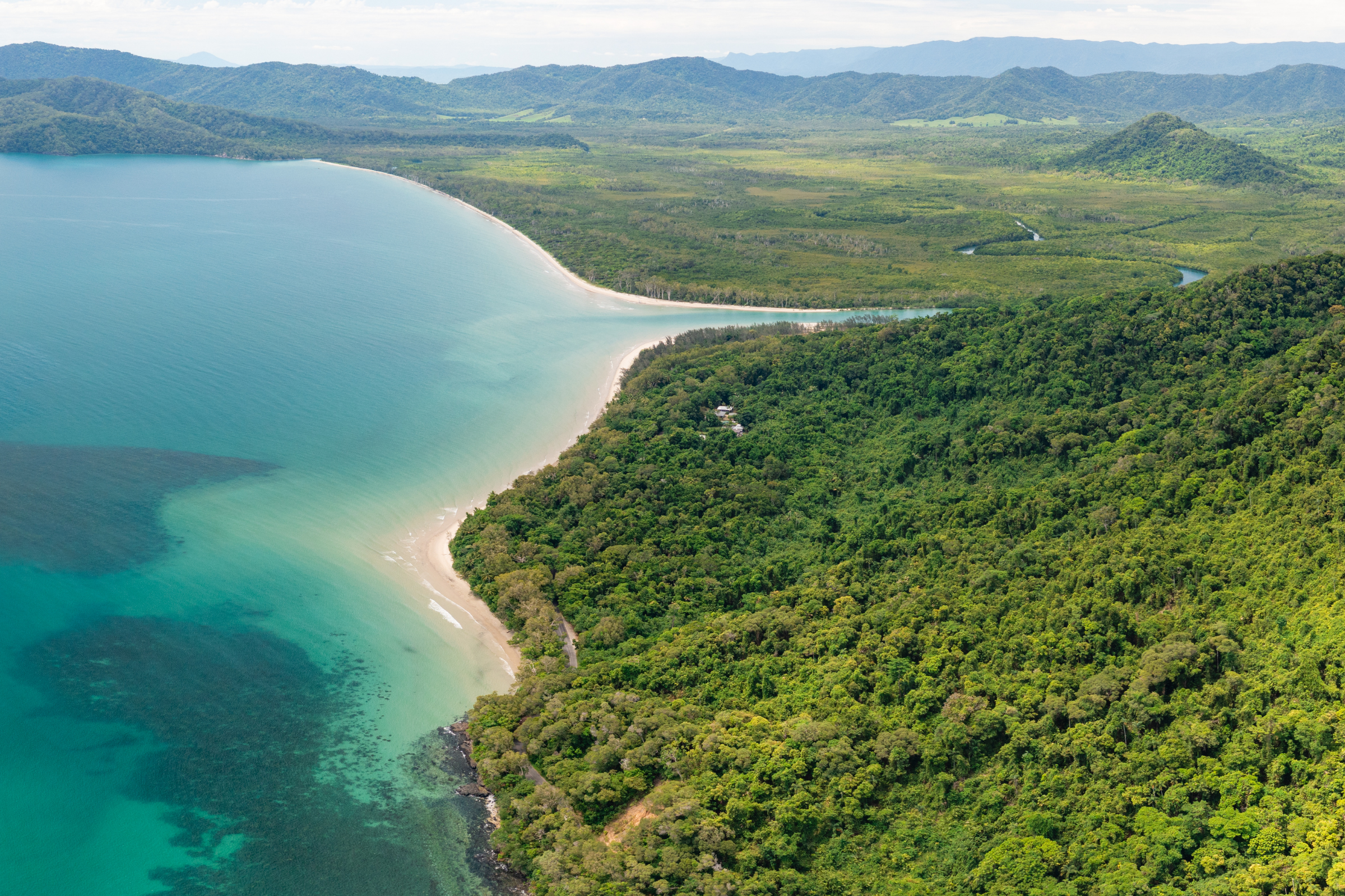 daintree national park, queensland (2).webp